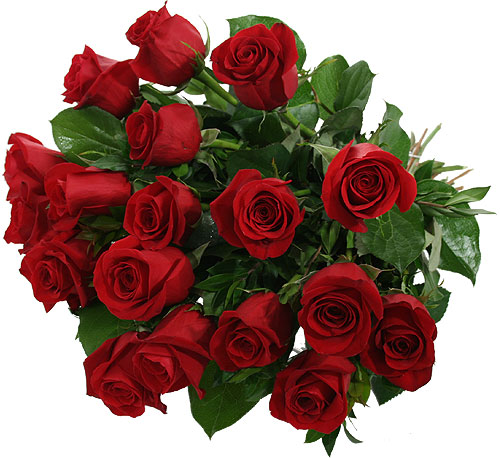 18 Luxury Red Roses | Flowers To Ontario Canada Delivery