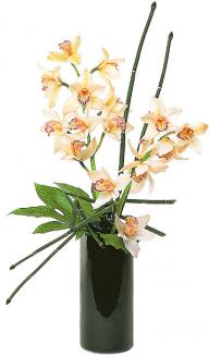 Teleflora's Artful Orchids